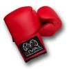 Rival Boxing Gear Rival Autograph Boxing Gloves - Leather Novelties