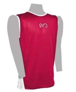Rival Boxing Gear Apparel Rival Evo Boxing Jersey